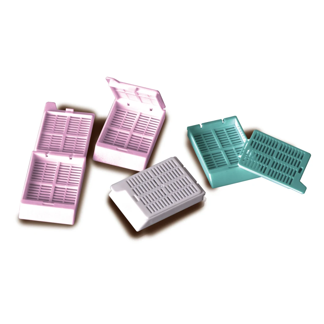 Medical Disposable Histology Square Hole Embedding Cassette