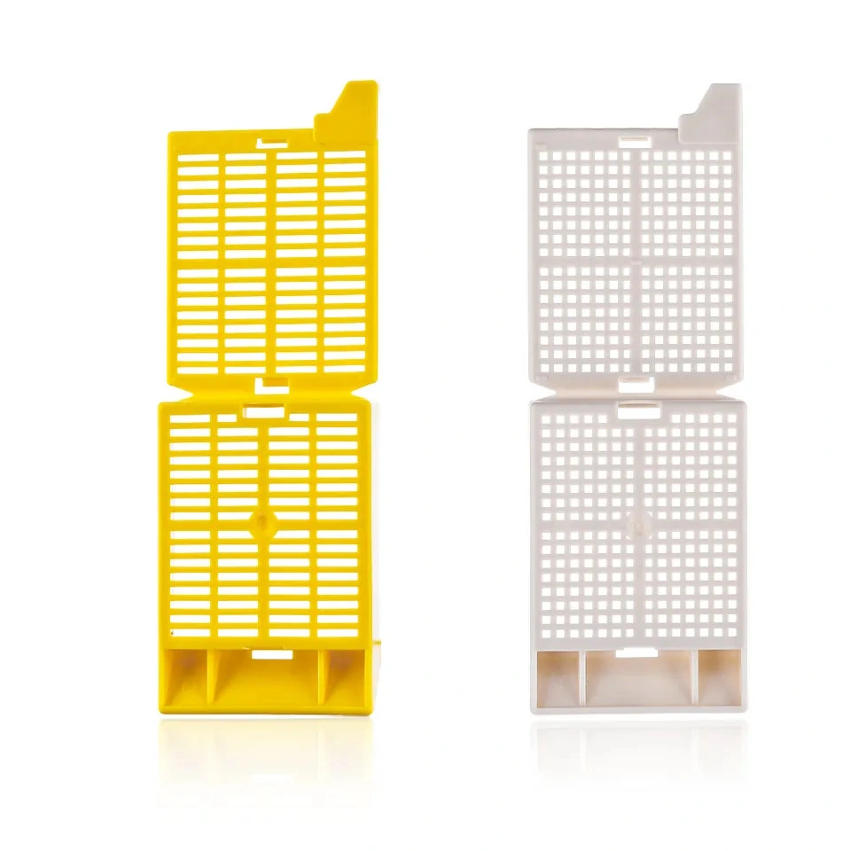 Plastic Lab Histology Embedding Cassette