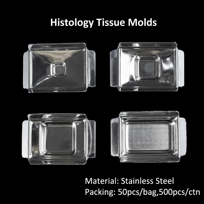 Histology Stainless Tissue Base Molds Embedding Cassette