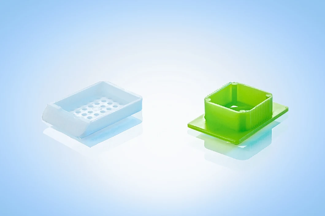 Disposable Laboratory Plastic Round Holes Histology Tissue Embedding Cassettes