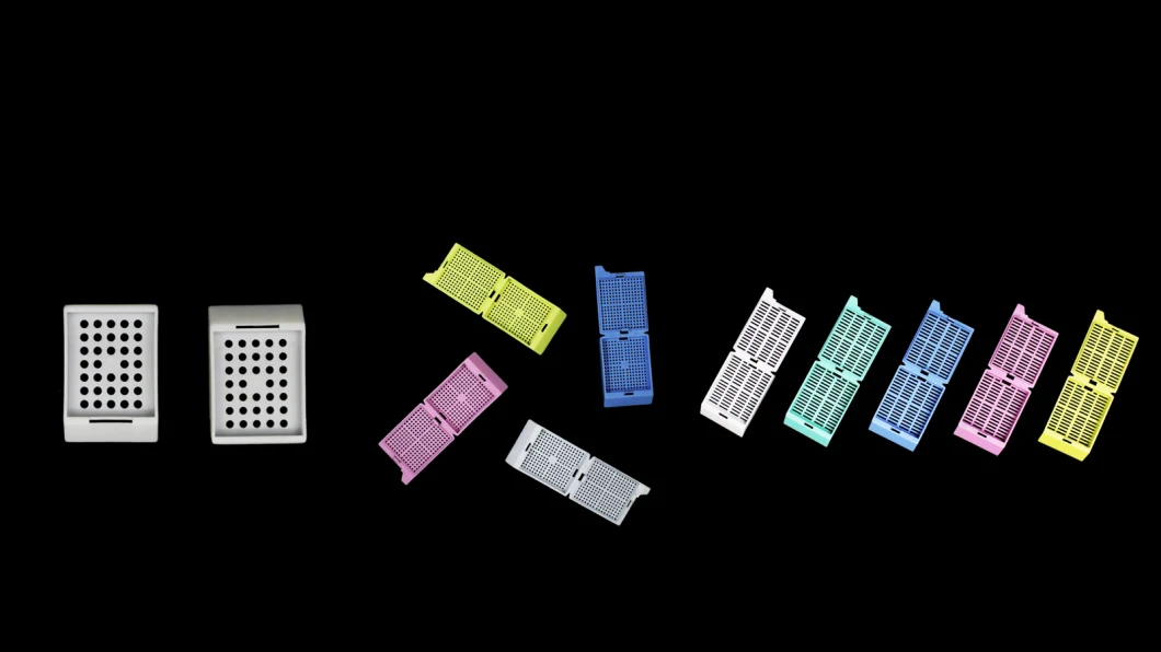 Disposable Histology Samples Tissue Embedding Cassette