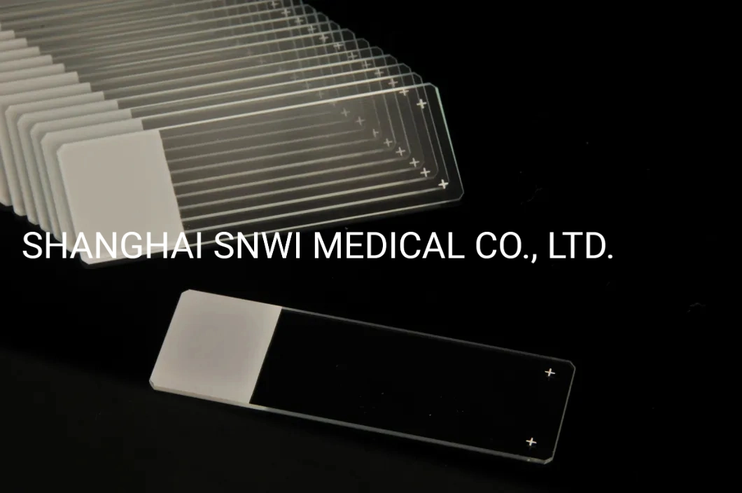 Excellent Quality Medical Disposable Lab Consumable Parasitology Prepared Microscope Slides (7105)