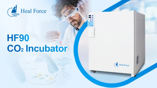 Heal Force Lab Culture Cellulaire CO2 Incubateur 150L Biologie pour Équipement de Laboratoire CO2 Incubateur