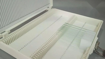 Boîte de rangement en plastique pour lames de microscope en histologie